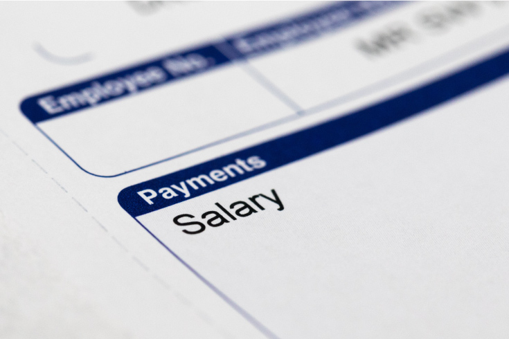 clinical mental health counseling income